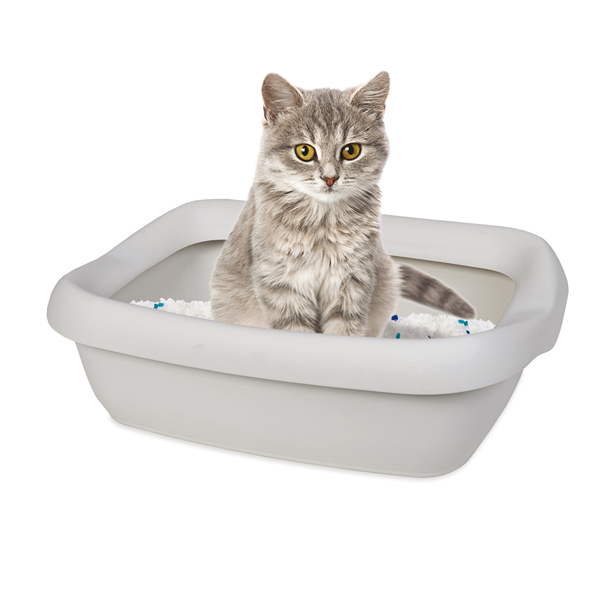 Accessori Per Animali Domestici